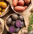 O alto consumo de carboidratos que favorece o estresse oxidativo –  Foto: Shutterstock / Alto Astral