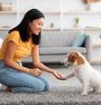 É possível ensinar alguns comandos ao cachorro em casa  Foto: Shutterstock / Portal EdiCase