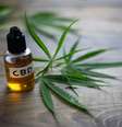 CBD no SUS: saiba quem pode se beneficiar do tratamento -  Foto: Shutterstock / Saúde em Dia