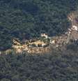 Áreas indígenas em Roraima são alvo de cobiça de garimpeiros desde os anos 1970   Foto: Reuters / Reuters