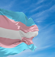 Bandeira trans  Foto: Profissas