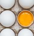 Nutricionista comenta consumo de ovos no BBB.  Foto: Shutterstock / Sport Life