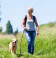 Cachorros sempre devem estar com suas guias na hora de passear –  Foto: Shutterstock / Alto Astral
