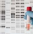 Testes de DNA como 23AndMe e Ancestry, populares nos EUA, estão revelando a extensão assustadora da formação familiar no país  Foto: zmeel/Getty Images / Bebe.com