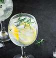 receitas de drinks com gin refrescantes  Foto: Guia da Cozinha