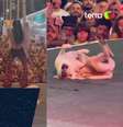 carnaval 2023-thumb youtube marina sena.jpg  Foto: 