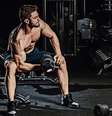 Musculação: mitos e verdades sobre a modalidade /  Foto: Shutterstock / Sport Life