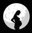 Fases da Lua podem influenciar a gestação  Foto: Safaart | Shutterstock / Portal EdiCase