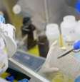 Pessoa trabalhando em laboratório  Foto: Getty Images / BBC News Brasil