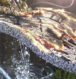  Foto: Jang et al./Advanced Materials / Canaltech