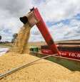 Setor agrícola deve apresentar forte expansão neste ano  Foto: Tiago Queiroz/Estadão / Estadão