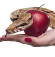 IR-Pecado.jpg  Foto: iStock / iStock
