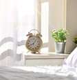 Saiba quais as melhores plantas para ter no quarto -  Foto: Shutterstock / Alto Astral