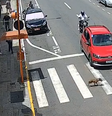 Motociclista atinge carro após motorista frear para cãozinho atravessar rua em MG; veja vídeo  Foto: Reprodução