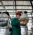 A worker shows a sample of biodiesel made from castor beans at a biodiesel refinery in Iraquara, 310 miles (500 km) west of the Bahia state capital, Salvador March 31, 2008. Investors, including many foreigners, have flocked to Brazil's hinterland with its enormous farm potential and some of the world's lowest costs to produce biofuels. Picture taken March 31, 2008. REUTERS/Jamil Bittar (BRAZIL)  Foto: Reuters