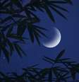 Faça esses rituais para aproveitar a Lua Minguante -  Foto: Shutterstock / João Bidu