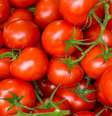 Na salada ou no molho: tomate tem forte poder antioxidante -  Foto: Shutterstock / Saúde em Dia
