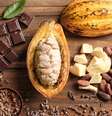 O chocolate branco é feito de manteiga de cacau, enquanto os outros, da massa  Foto: Guia da Cozinha