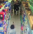 Comerciante tentou lutar contra criminoso e foi baleado   Foto: Reprodução