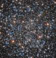Imagem do telescópio Hubble mostra apenas uma parte do aglomerado de estrelas Messier 55  Foto: Nasa, ESA, A. Sarajedini, M. Libralato, Gladys Kober