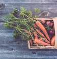alimentos de outono  Foto: Markus Spiske / Unsplash / Personare