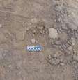 Material arqueológico achado em obra da Vale em Itabirito  Foto: Divulgação