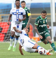  Foto: Divulgação/Cesar Greco/Palmeiras