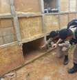 Mulher é resgatada após ser enterrada em túmulo em MG  Foto: Divulgação: Polícia Militar/ MG