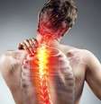 Coluna - Shutterstock  Foto: Sport Life