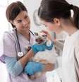 Existem maneiras de gerenciar a doença e prolongar a vida do gato  Foto: Stock-Asso | ShutterStock / Portal EdiCase