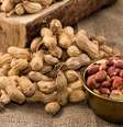 Alimentos que melhoram a produção de hormônios sexuais /  Foto: Shutterstock / Sport Life