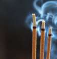 Esses aromas vibram junto a Lua em Libra -  Foto: Shutterstock / João Bidu