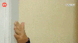 alexandre-guifontes.gif  Foto: Reprodução Tenor