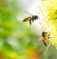 Esses sonhos carregam ótimos significados -  Foto: Shutterstock / João Bidu