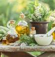 Algumas ervas poderosas podem ser plantadas e usadas em casa mesmo -  Foto: Shutterstock / Alto Astral