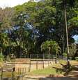 Moradores da região ouviram gritos vindo do parque e acionaram a Polícia Militar por volta de 1h20 da madrugada de domingo  Foto: Reprodução/Prefeitura BH