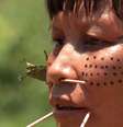 Aliança Fundo Amazônia leva causa indígena e ambiental para Cannes  Foto: EBC/TV Brasil