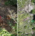 Segundo a família, ela estava desaparecida desde o meio-dia de quarta, quando saiu de casa acompanhada apenas do cachorro  Foto: Reprodução/Notaer