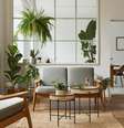 Plantas na decoração oferecem conforto e bem-estar  Foto: Followtheflow | Shutterstock / Portal EdiCase