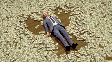 money-rich.gif  Foto: Reprodução/ Tenor