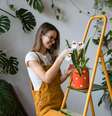 Cuidar das plantas corretamente é fundamental para mantê-las saudáveis  Foto: DimaBerlin | Shutterstock / Portal EdiCase