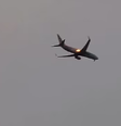 Motor de avião pega fogo nos EUA após aparente colisão com gansos  Foto: Reprodução/Twitter:@Cbus4Life