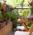 -  Foto: Airgrow/Reprodução / Casa.com