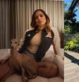 Conheça as raças dos cães dos famosos -  Foto: Reprodução Instagram/@gringa_the_dog @pliniotheboss / Famosos e Celebridades