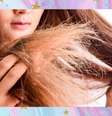 Cabelo seco: 5 coisas que você precisa parar de fazer se sentir seus fios ressecados -  Foto: Shutterstock / todateen