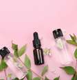 Os óleos essenciais são extraídos de plantas e podem melhorar a sua saúde por meio da aromaterapia. Descubra como! -  Foto: Shutterstock / João Bidu