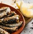Sardinha - Shutterstock  Foto: Sport Life