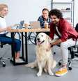 Levar os pets para o escritório torna o ambiente mais agradável  Foto: LightField Studios | ShutterStock / Portal EdiCase