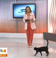  Foto: Reprodução/TV Globo