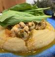 Frango ensopado com polenta cremosa  Foto: Giuliana Giunti / Giu Giunti - O Melhor Prato